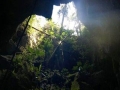 New cave to be discovered in Cha Noi forest