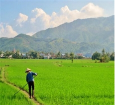 Nha Trang Countryside Tour by Car - Full Day