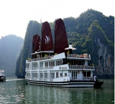 Pelican Luxury Cruise