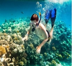 Nha Trang Snorkeling Tour - Full Day