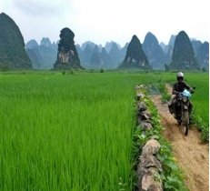 Northeast Vietnam Motorcyle Tour - 8 days / 7 nights