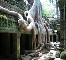 12 Days Classic Myanmar and Cambodia tour