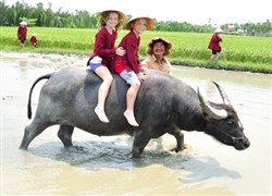 Family tour Vietnam